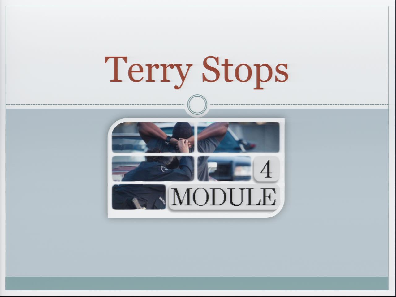 10 Terry Stops