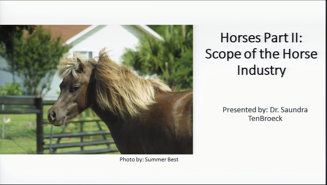 Horses Scope of the Horse Industry