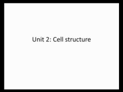 Unit 2b Cell Structure